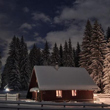 Cosy Chalet On Pokljuka - Brunarica Tinkara Zgornje Gorje ภายนอก รูปภาพ