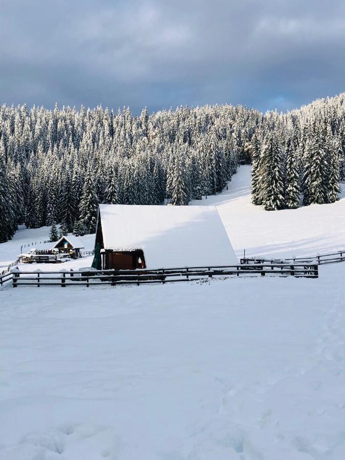 Cosy Chalet On Pokljuka - Brunarica Tinkara Zgornje Gorje ภายนอก รูปภาพ