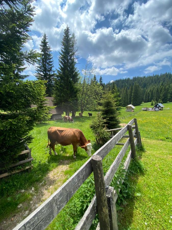 Cosy Chalet On Pokljuka - Brunarica Tinkara Zgornje Gorje ภายนอก รูปภาพ