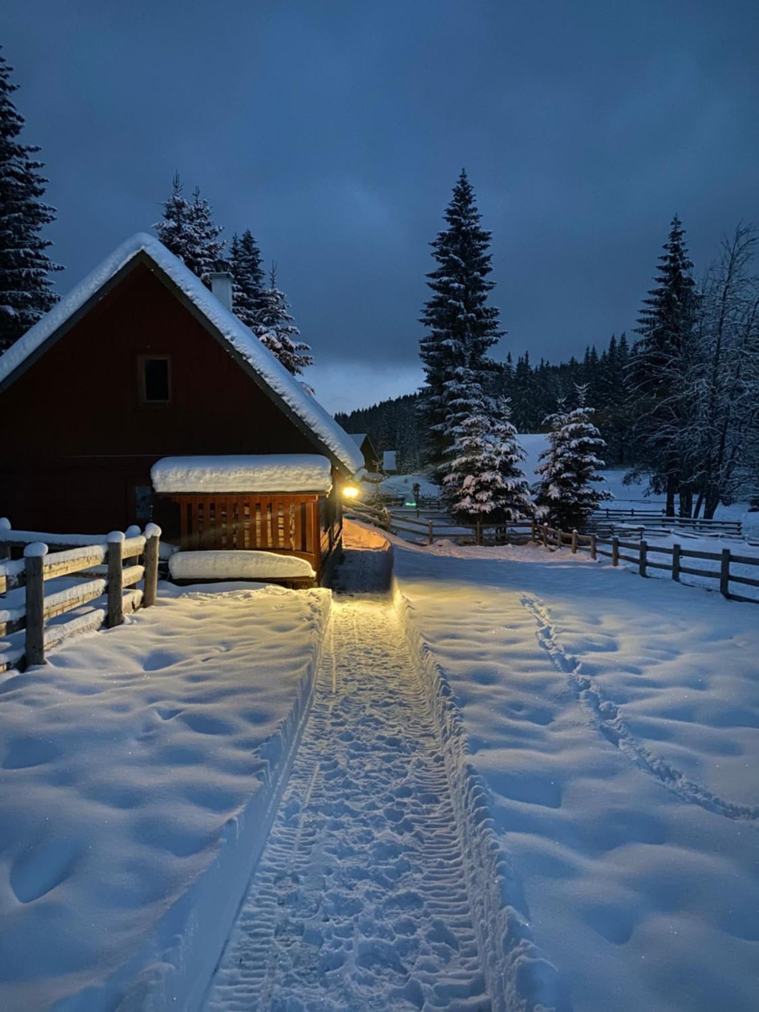 Cosy Chalet On Pokljuka - Brunarica Tinkara Zgornje Gorje ภายนอก รูปภาพ