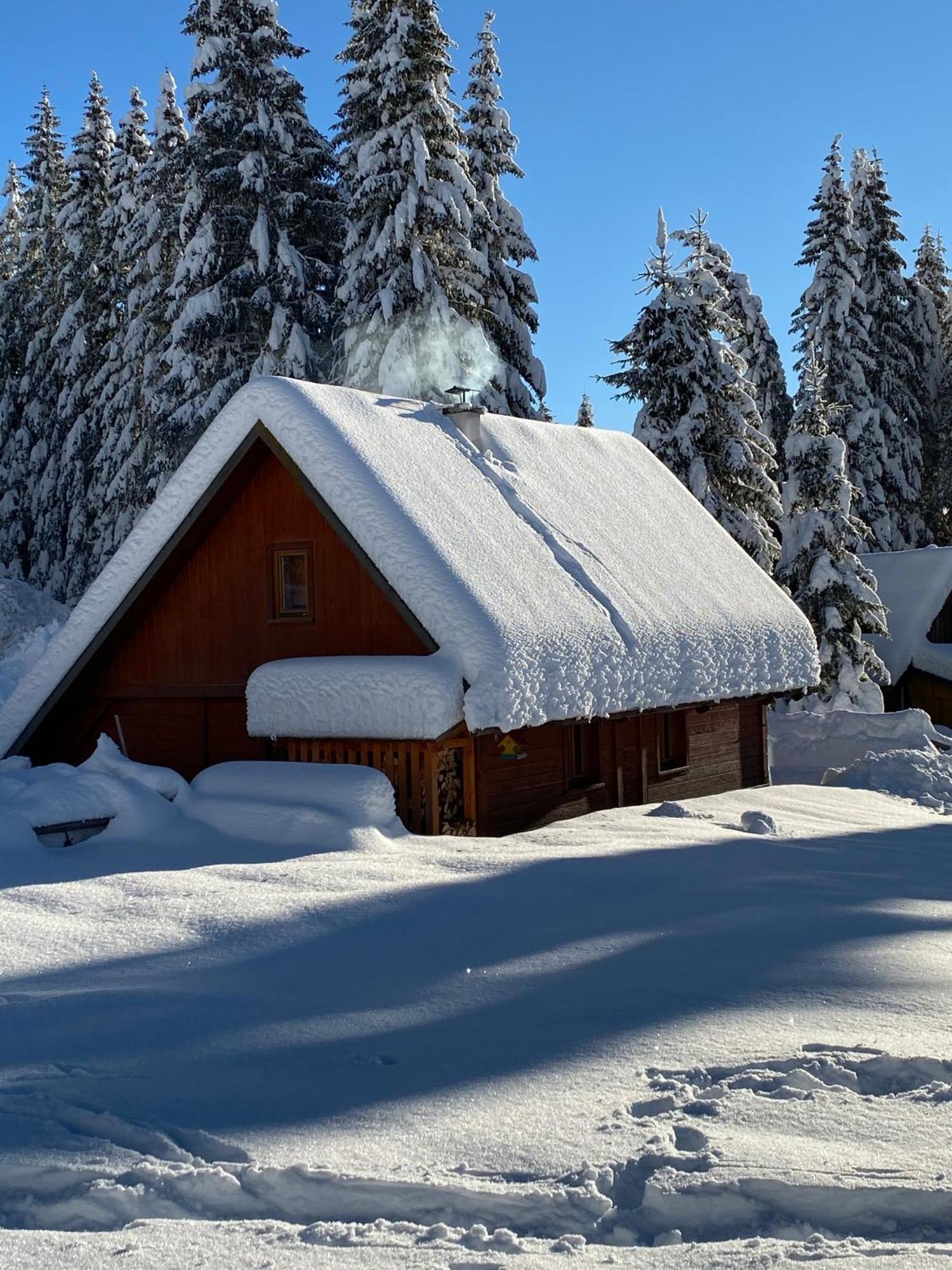 Cosy Chalet On Pokljuka - Brunarica Tinkara Zgornje Gorje ภายนอก รูปภาพ