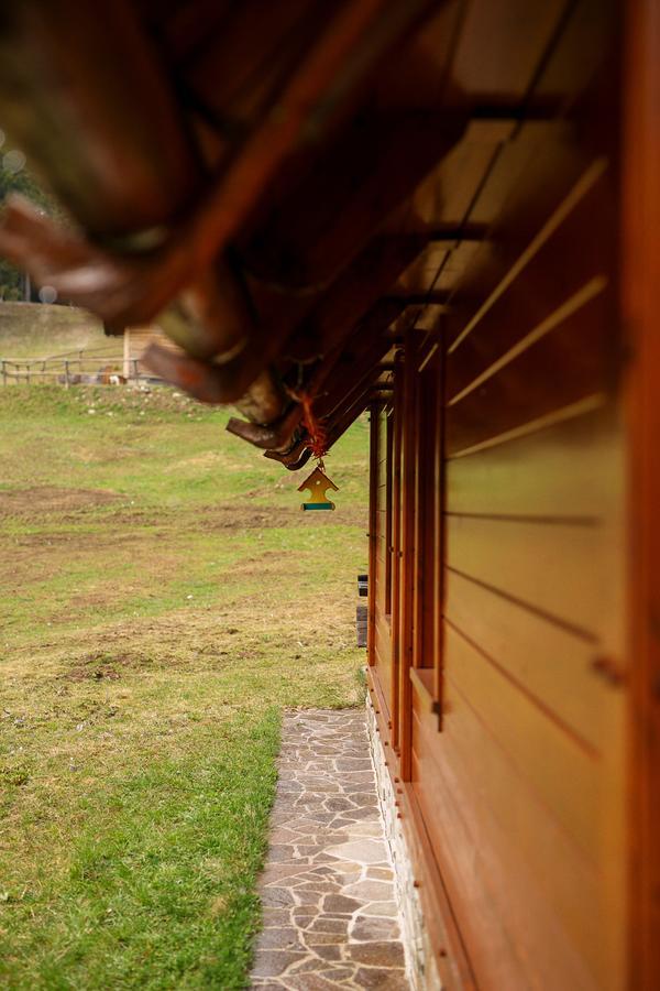 Cosy Chalet On Pokljuka - Brunarica Tinkara Zgornje Gorje ภายนอก รูปภาพ